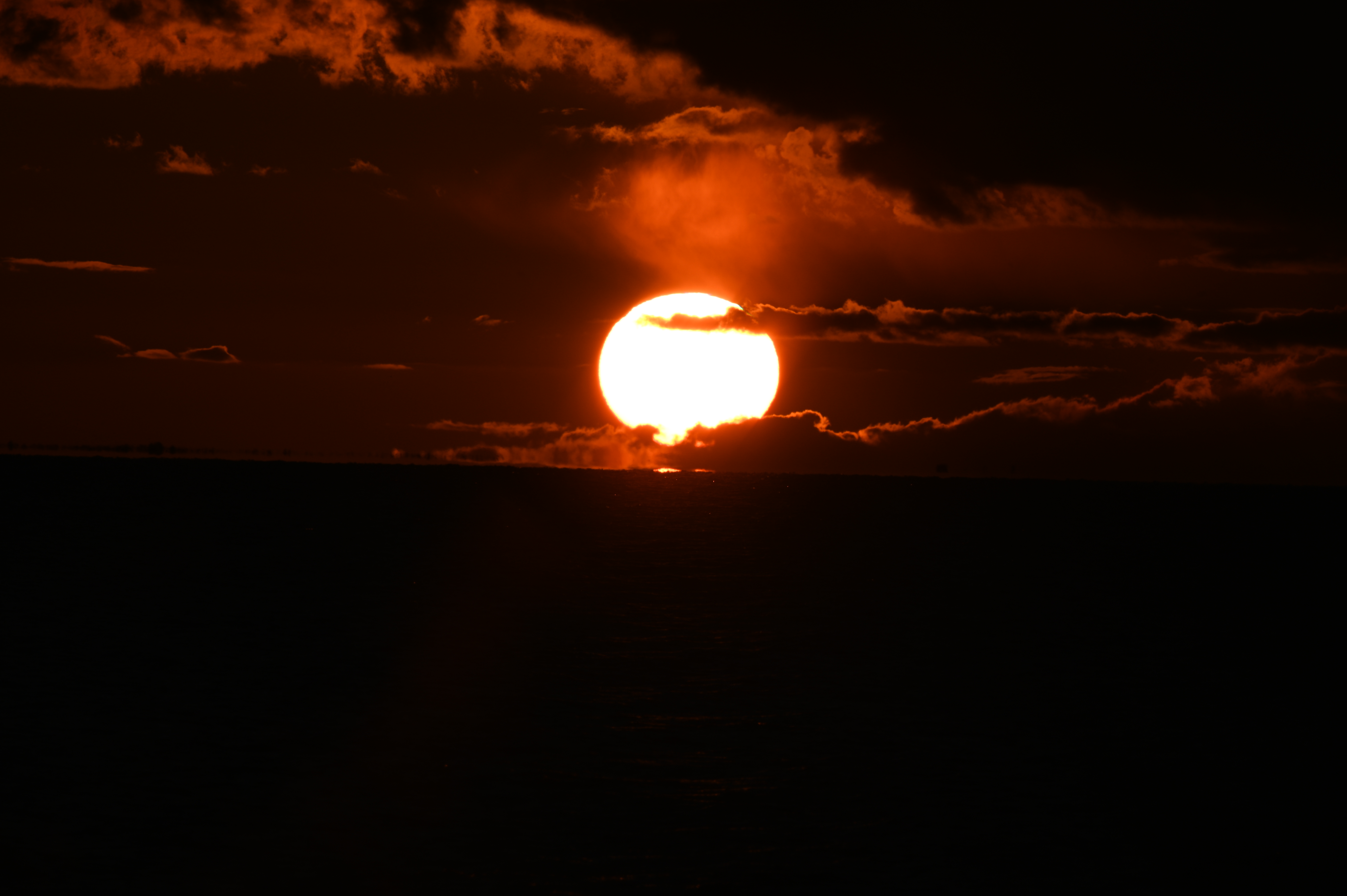 2025/10/18 - walk/DSC_0458.JPG